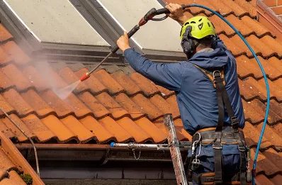 Démoussage et hydrofuge de toiture à Perdreauville